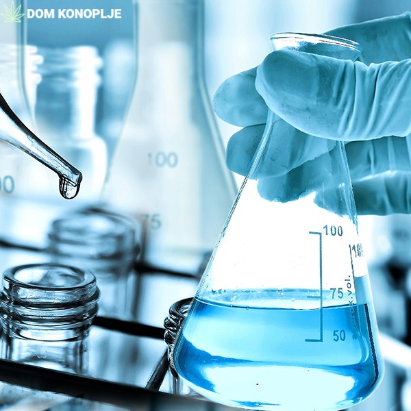 Konzultantska i operativna podrška za fermentaciju i destilaciju voća