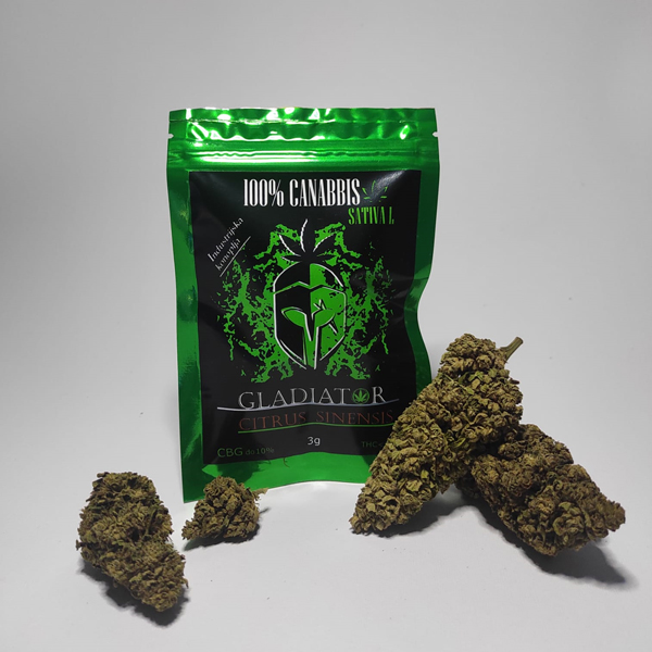 Gladiator - Citrus medica 1 Gladiator - Citrus medica