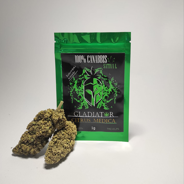 Gladiator - Citrus medica 2 Gladiator - Citrus medica