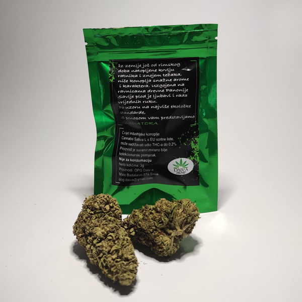 Gladiator - Citrus medica 3 Gladiator - Citrus medica