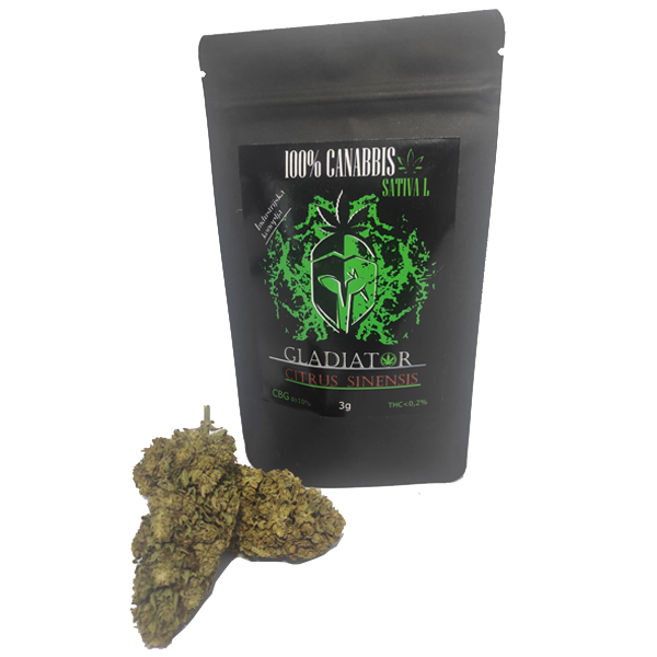 Gladiator - Citrus sinensis